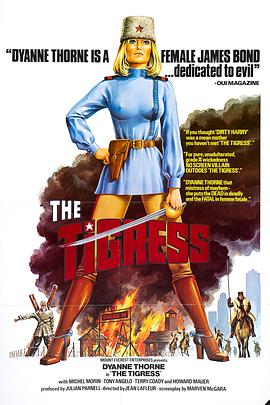 税务网站优化几个小时