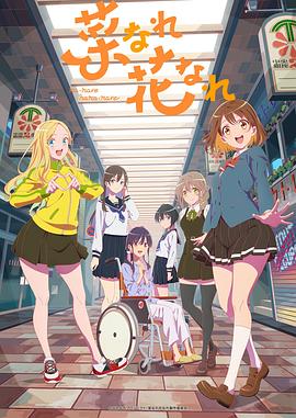 搜索运营优化软件的网站